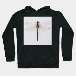 Dragonfly Hoodie